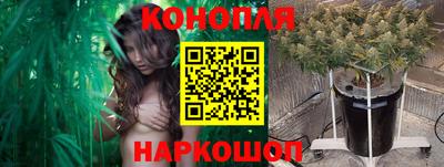 дурь Будённовск